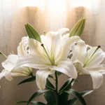 Prayers for Divine Healing